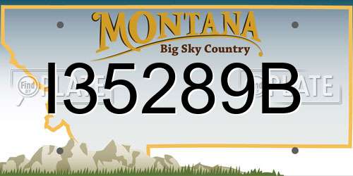 I35289B Montana License Plate