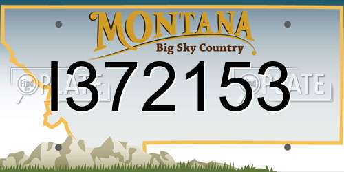 I372153 Montana License Plate
