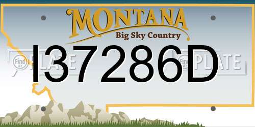 I37286D Montana License Plate