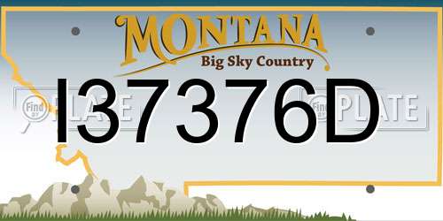 I37376D Montana License Plate
