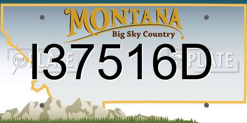 I37516D Montana License Plate