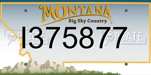 I375877 Montana License Plate