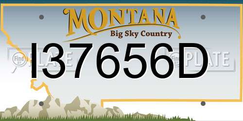 I37656D Montana License Plate