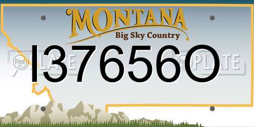 I37656O Montana License Plate
