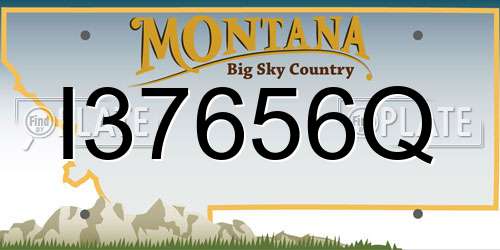 I37656Q Montana License Plate