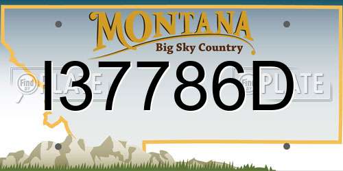 I37786D Montana License Plate