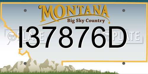 I37876D Montana License Plate
