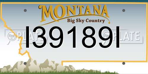 I39189I Montana License Plate
