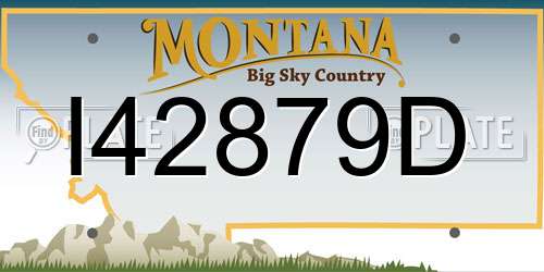 I42879D Montana License Plate