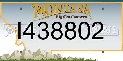 I438802 Montana License Plate