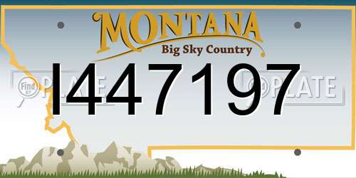I447197 Montana License Plate