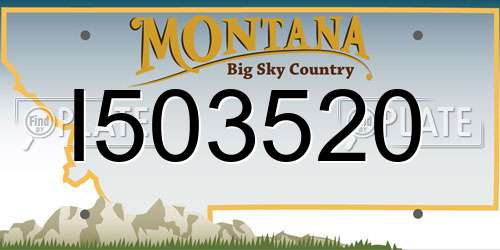I503520 Montana License Plate