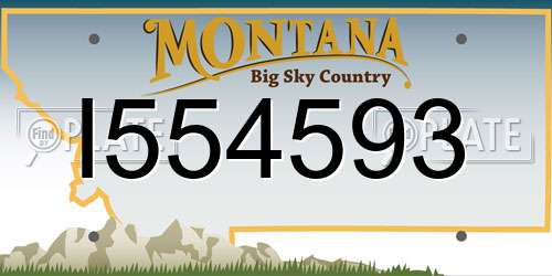 I554593 Montana License Plate