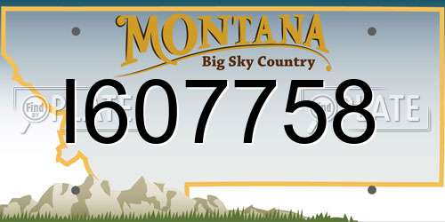 I607758 Montana License Plate