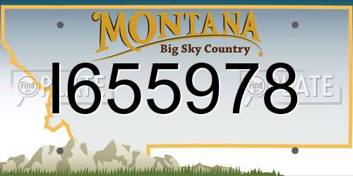 I655978 Montana License Plate
