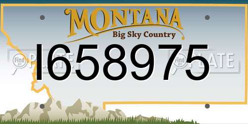 I658975 Montana License Plate