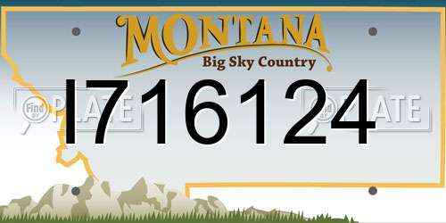 I716124 Montana License Plate