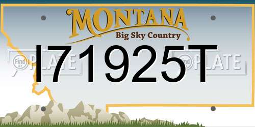 I71925T Montana License Plate