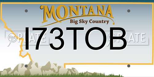 I73TOB Montana License Plate