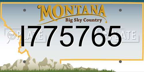 I775765 Montana License Plate