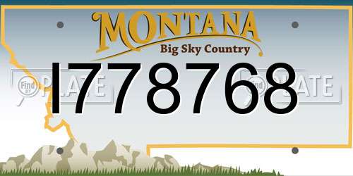 I778768 Montana License Plate