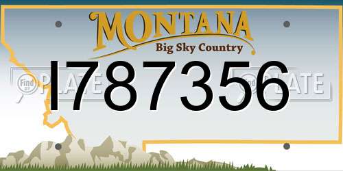 I787356 Montana License Plate