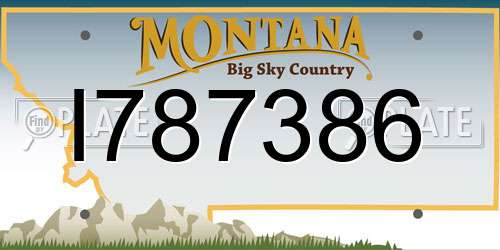 I787386 Montana License Plate