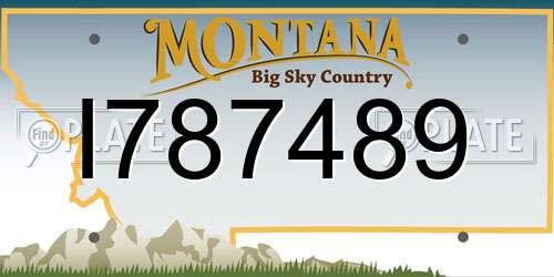 I787489 Montana License Plate