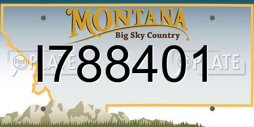 I788401 Montana License Plate