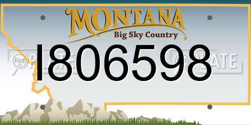 I806598 Montana License Plate