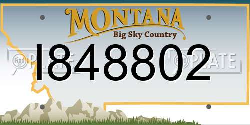 I848802 Montana License Plate