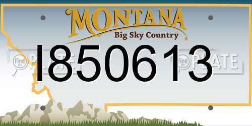 I850613 Montana License Plate