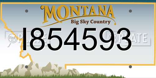 I854593 Montana License Plate