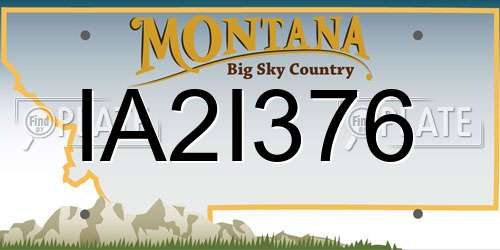 IA2I376 Montana License Plate
