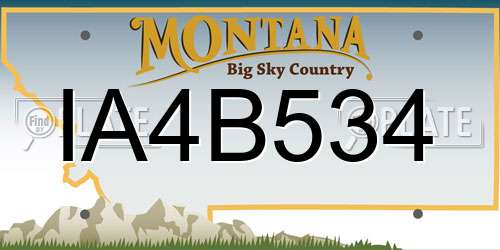IA4B534 Montana License Plate