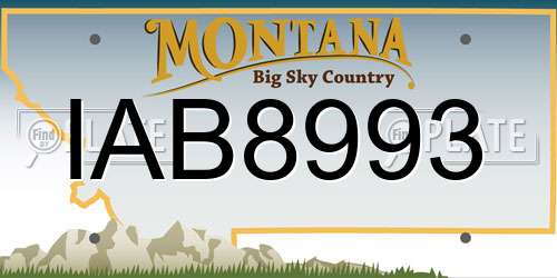 IAB8993 Montana License Plate