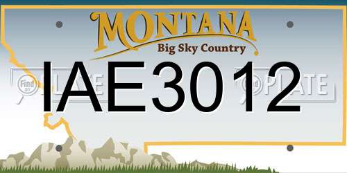 IAE3012 Montana License Plate