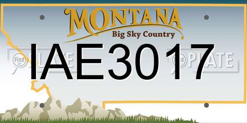 IAE3017 Montana License Plate