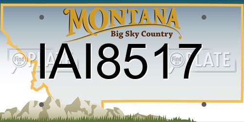 IAI8517 Montana License Plate