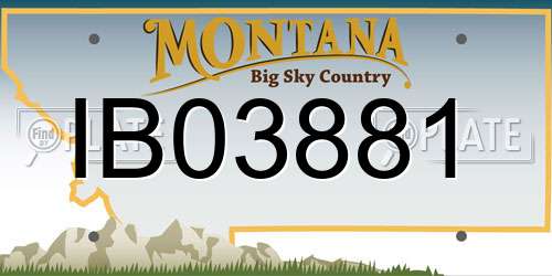 IB03881 Montana License Plate