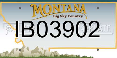 IB03902 Montana License Plate