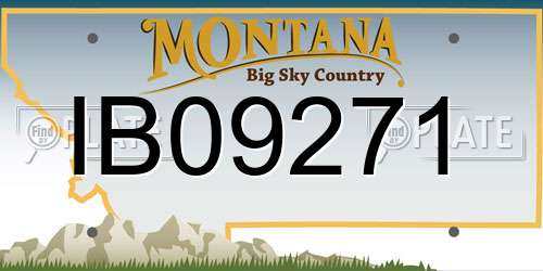 IB09271 Montana License Plate