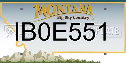 IB0E551 Montana License Plate
