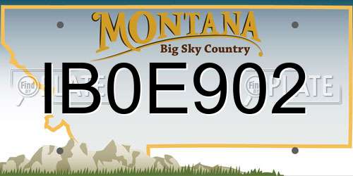 IB0E902 Montana License Plate