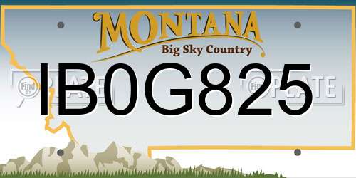 IB0G825 Montana License Plate