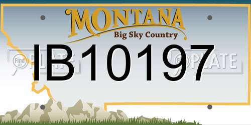 IB10197 Montana License Plate