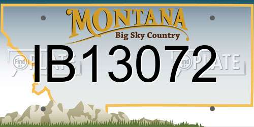 IB13072 Montana License Plate