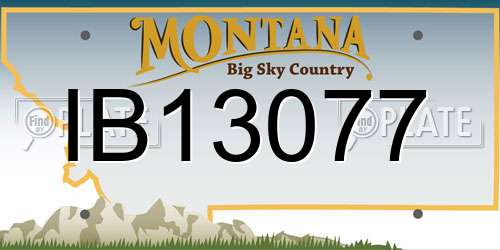 IB13077 Montana License Plate