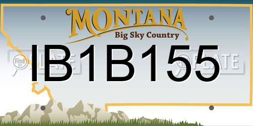 IB1B155 Montana License Plate