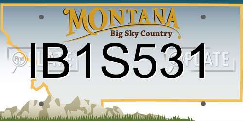 IB1S531 Montana License Plate